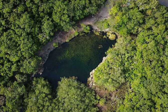 Private Jeep Cenotes Expedition in Cozumel - Key highlights you’ll actually care about