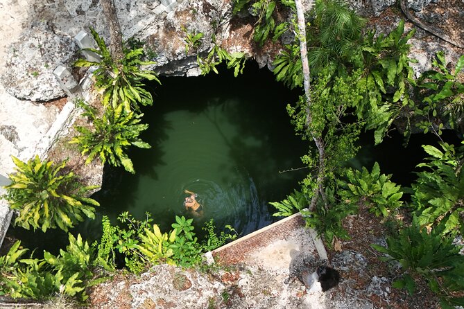 Private Jeep Cenotes Expedition in Cozumel – Swim & Mayan Park - Key Highlights Worth Planning For