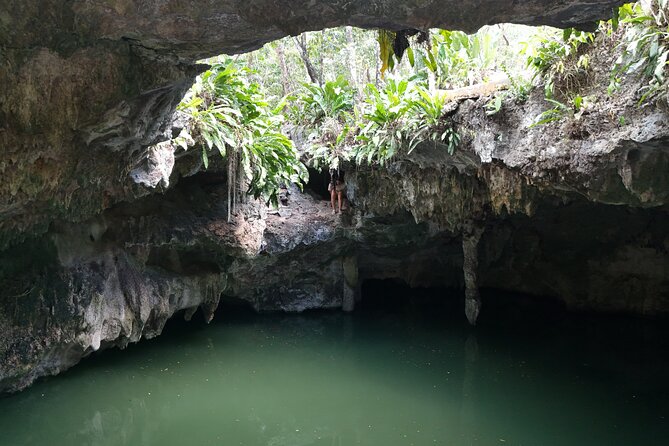 Private Jeep Cenotes Expedition in Cozumel – Swim & Mayan Park - The Real Value Equation: Admissions, Tastings, Lunch, and Two Swims
