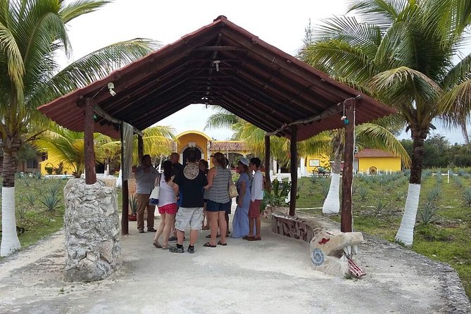 Private Jeep Excursion in Cozumel with Lunch and Snorkeling - Chankanaab Reef Snorkeling: Included Gear and a Fish-Heavy Reef