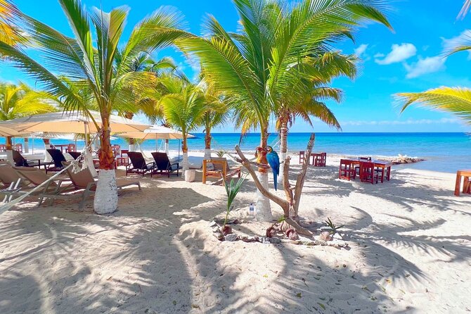 Private Jeep or Buggy Tour Snorkeling Maya Park and Tacos - Playa Publica San Martin: Sea-Side Lunch on the Other Side of the Island