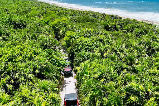 Private Jeep & Polaris RZR: San Gervasio Mayan Ruins & Snorkeling - San Gervasio Mayan Ruins: A Short Walk With a Big Sense of Place