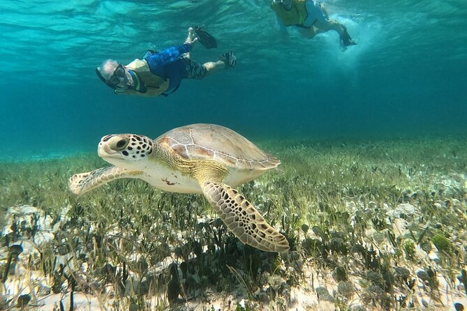 Private Jeep Tour & ATV to Jade Cavern Cenote: All Inclusive - Skyreef Beach Club snorkel: shore access with a real guide