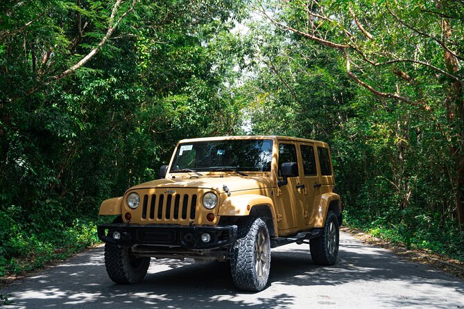 Private Jeep Tour Full Experience and ATV with Caverns & Cedral - Stop 1: Skyreef Beach Club snorkeling for reef life