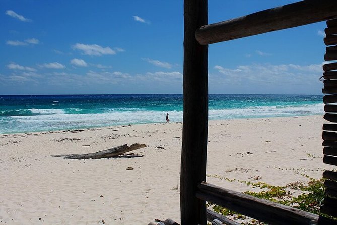 Private Jeep Tour in Cozumel - Tequila Mayan Museum: Tasting, History, and What Optional Really Means