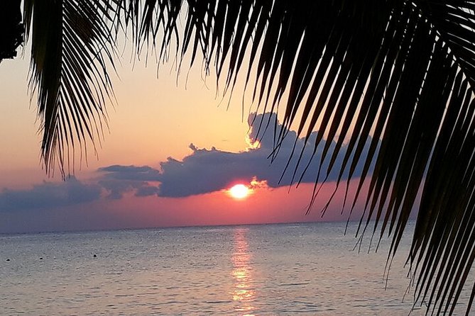 Private Jeep Tour in Cozumel - How the Itinerary Gets Customized (and Why It Works)