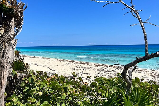 Private Mayan Ruins Tour with Cenote/caves and Mexican Picnic - Cenote Aerolito de Paraiso: the cool-water finale