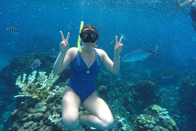 Private Sky Snorkeling Tour - Why this private Cozumel route feels easier than the big boats