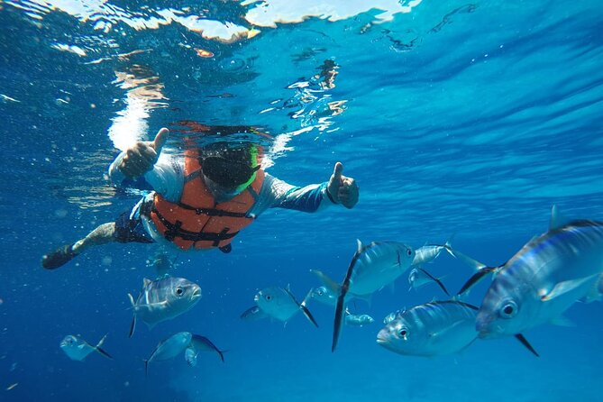 Private Sky Snorkeling Tour - Palancar Reef stop: big coral country in about 20 minutes