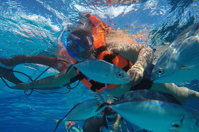 Private Sky Snorkeling Tour - Columbia Reef stop: variety in a compact second swim