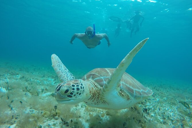 Private Sky Snorkeling Tour - Food, drinks, and included snacks that make the ride better