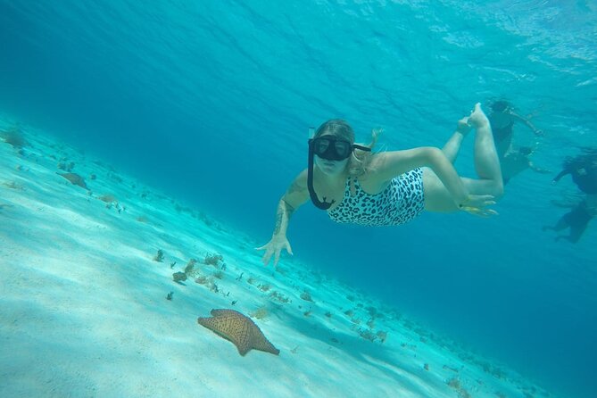 Private Sky Snorkeling Tour - Price and value: what $520 per group really means