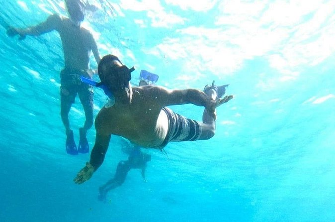 Private snorkeling tour to El Cielo - Food and drinks: fresh ceviche is not a bonus here