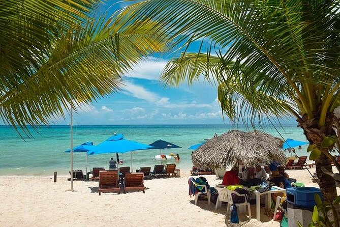Private Tour: 5-Hour Cozumel Sightseeing with Private Driver and Tequila Tasting - El Mirador: the photo stop that changes how you see the island