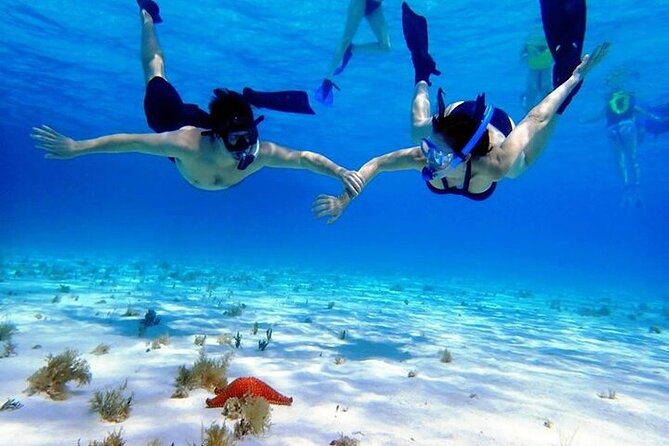 Private Tour in Cozumel El Cielo Sandbar and Reef Snorkeling - Cozumel National Marine Park: Colombia and Palancar reefs