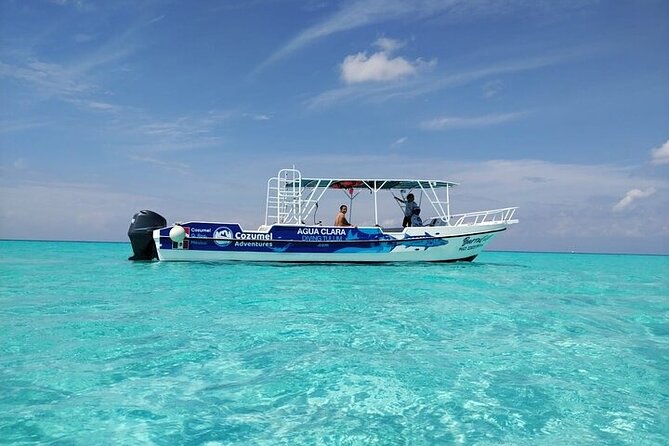 Private Tour in Cozumel El Cielo Sandbar and Reef Snorkeling - El Cielo’s starfish bay: what you’re really paying for