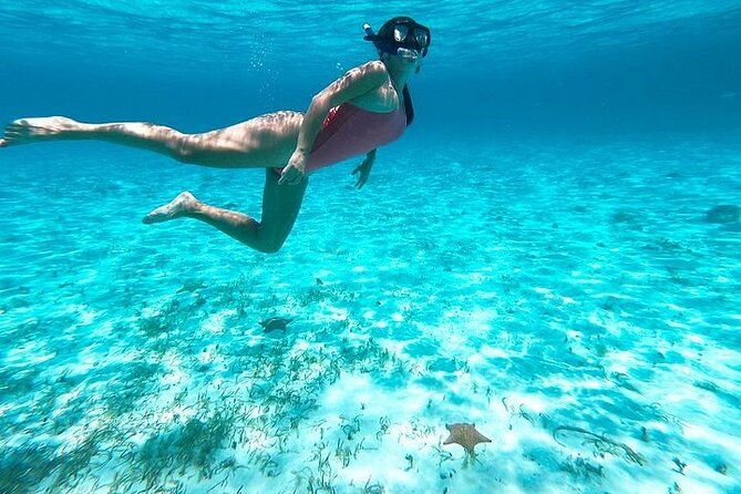 Private Tour in Cozumel El Cielo Sandbar and Reef Snorkeling - What happens on the sand: picnic + views