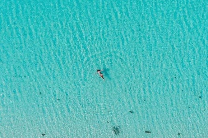 Private Tour in Cozumel El Cielo Sandbar and Reef Snorkeling - Boat time and group size: where private tours shine