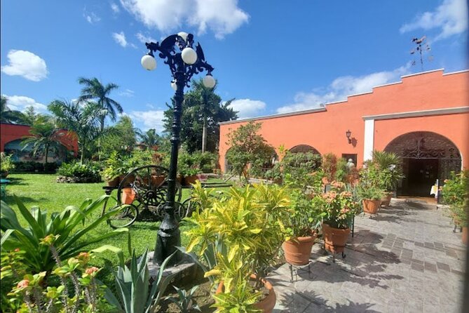 Private Tour of Cozumel in your own way Groups up to 6 People - San Gervasio Ruins: Mayan Life Without the Rush