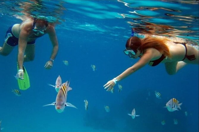 Private Tour of Cozumel in your own way Groups up to 6 People - Price and Timing: Is $160 per Group a Good Deal?