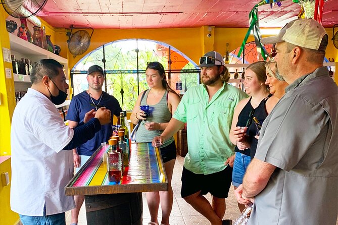 Private Van Service - Tequilera Los Tres Toños: One Hour of Tasting Time