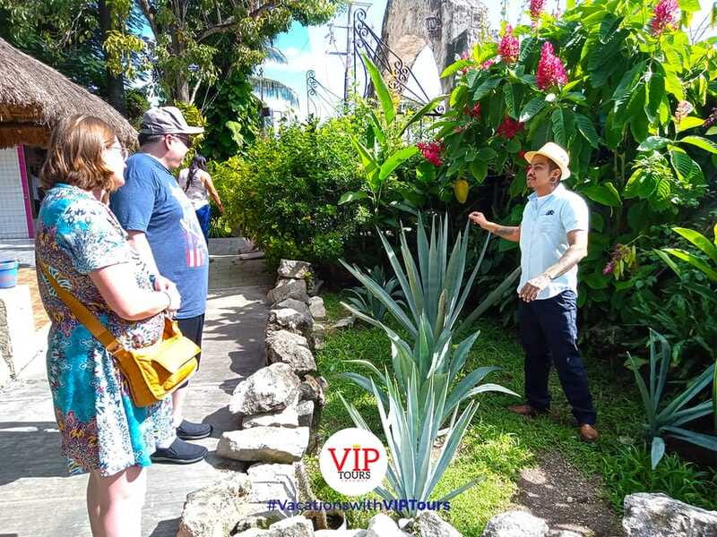 Private Van Service. Tasting the best of Cozumel - Price and value: $338 for up to four