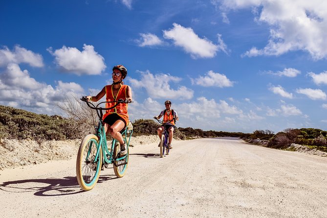 Punta Sur Eco Beach Park Electric Bike Tour in Cozumel - Who this Cozumel e-bike tour is best for