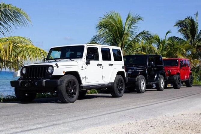 Rental Jeep Wrangler 4-Door Automatic 24h Cozumel Excursion - Key Things to Know Before You Go
