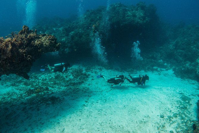 Scuba Diving in Cozumel Island - What You’ll Actually See Underwater (And How to Think About It)