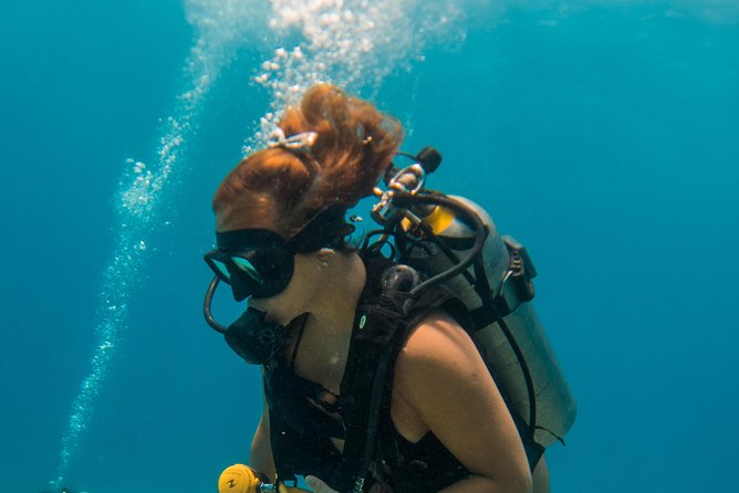 Scuba Diving in Cozumel Island - Price and Value: What $220 Covers (and What to Budget Extra)