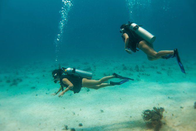Scuba Diving in Cozumel Island - Ferry Time on Your Own Terms: How the Open Ticket Helps