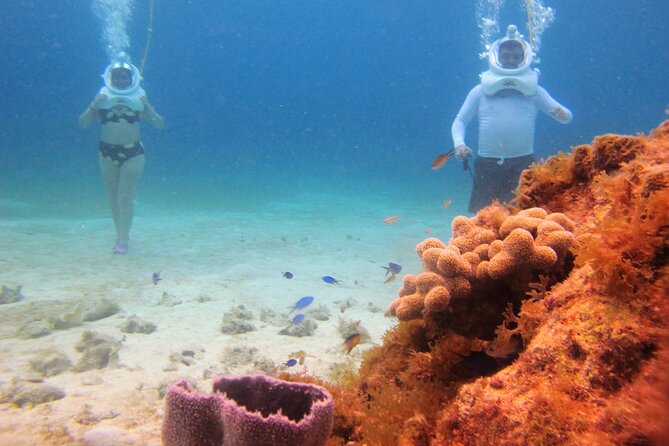 Sea Trek Adventure at Chankanaab National Park - Group Size, Comfort, and Who This Is For