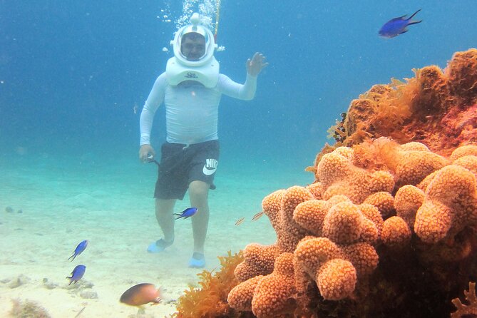 Sea Trek Adventure at Chankanaab National Park - Should You Book Sea Trek at Chankanaab?