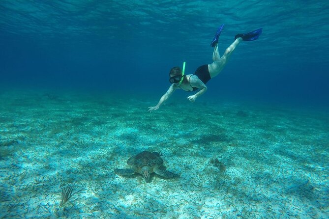 Shared Sky Snorkeling in Cozumel - Food, Drinks, and the Ceviche Moment
