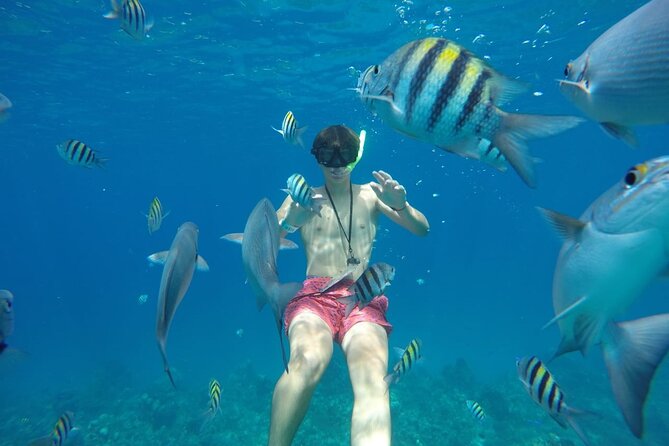 Shared Sky Snorkeling in Cozumel - Snorkeling Setup, Small Group Energy, and What You’ll Actually Do