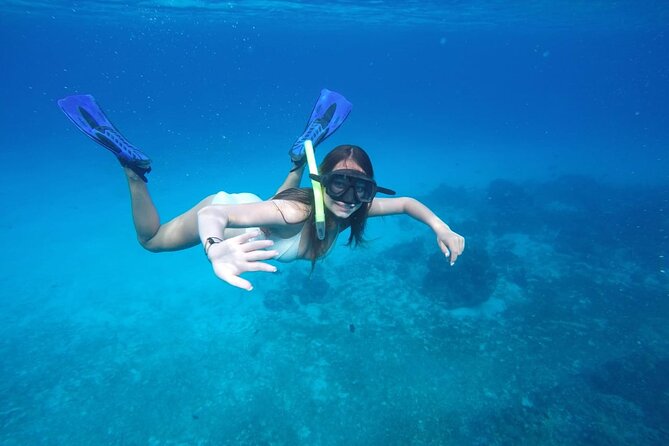 Shared Sky Snorkeling in Cozumel - Heaven for Sea Stars: What to Watch and How to Stay Respectful
