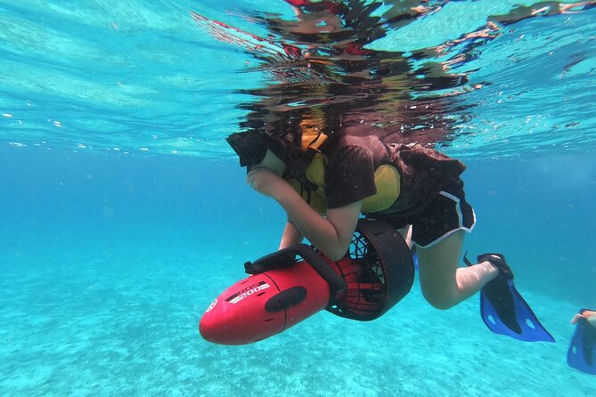 Shopping & Mexican Flavors with Transportation Included - San Miguel de Cozumel in 4.5 hours: what this tour really delivers