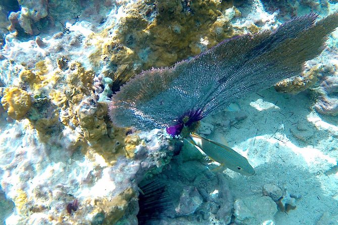 SkyReef Cozumel Snorkel & Tequila Tasting - Weather and the “relaxation vs. sales” balance