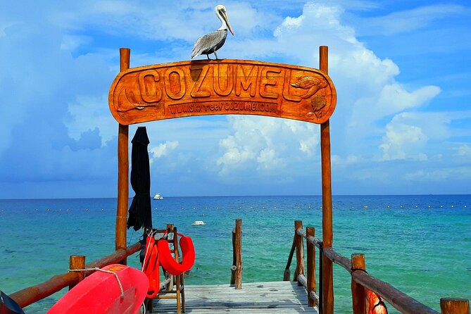 SkyReef Cozumel Snorkel & Tequila Tasting - Who should book Skyreef, and who might want a different plan