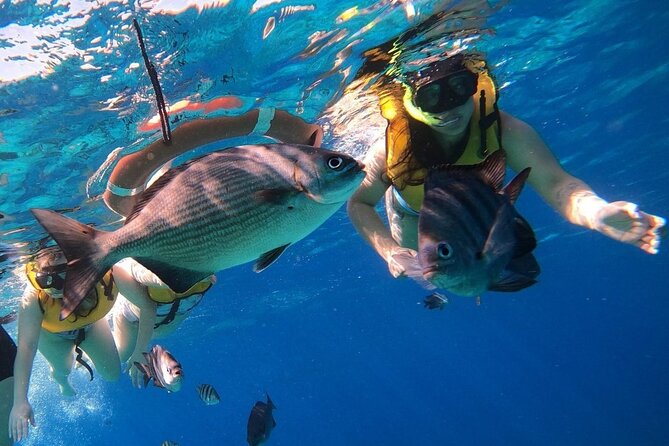 Snorkel along the coast, explore two reefs by Chivis del Mar - Timing From Cruise Ports: Easy Walk vs Taxi Smarter Choice