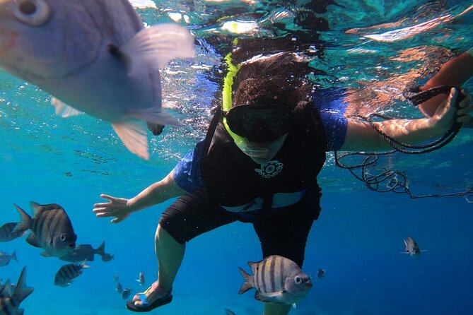 Snorkel along the coast, explore two reefs by Chivis del Mar - Who This Snorkel Tour Fits Best