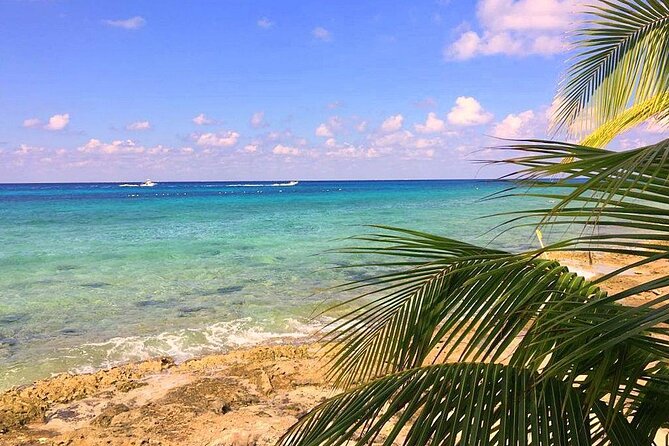 Snorkeling and Beach Club Access in Cozumel with Lunch - Beach club access after lunch: the relaxing part that most people remember