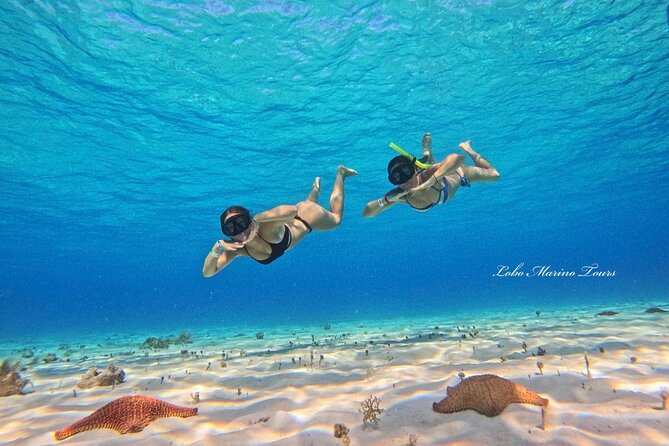 Star and Turtle Sanctuary Snorkeling Tour in Cozumel - Starfish sanctuary: a different kind of spotting