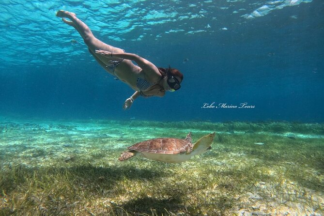 Star and Turtle Sanctuary Snorkeling Tour in Cozumel - Boat ride reality: speed, bumps, and motion sickness