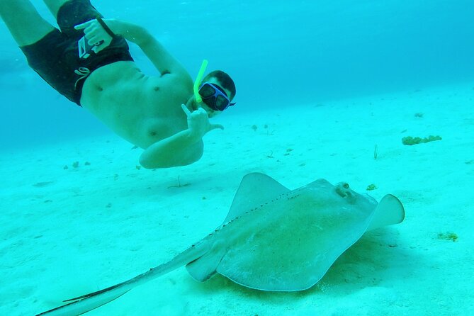 Starfish, Stingrays and the Turtle Sanctuary Snorkel Tour - Who this snorkel tour is best for