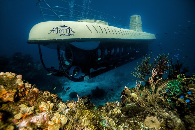 Submarine Atlantis Cozumel Adventure by Day & Sunset - Value check: is it worth $120, plus the fees?