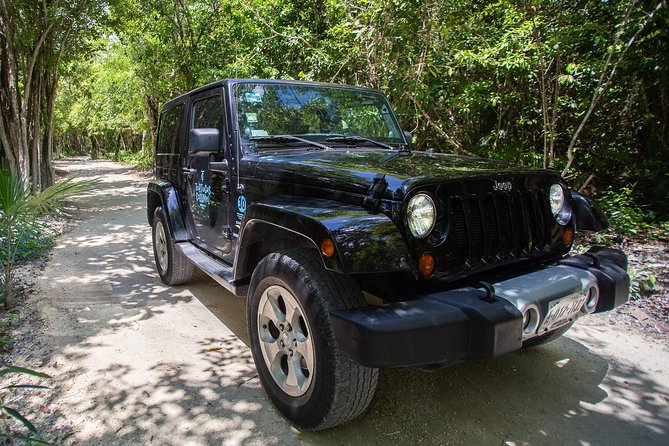 Super Cozumel Combo Snorkel by Boat and Jeep Exploration (Private) - Getting picked up and staying on schedule without stress