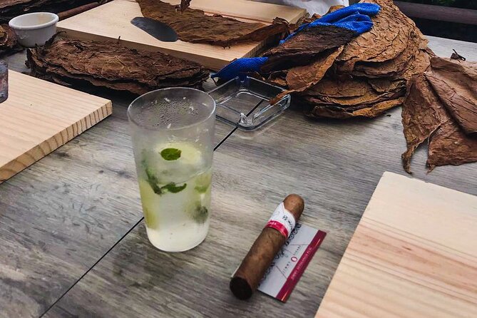 Taste of Mexico: Rolling Cigar & Tequila Experience with transfer - Downtown Cozumel shopping time: what you’ll see and how to avoid getting rushed