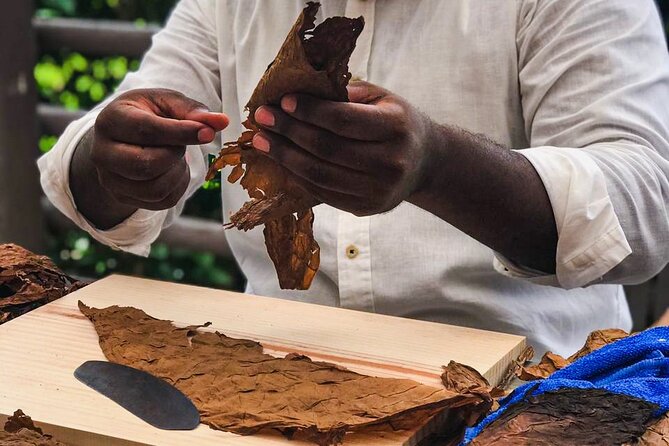 Taste of Mexico: Rolling Cigar & Tequila Experience with transfer - Should you book Taste of Mexico in Cozumel?
