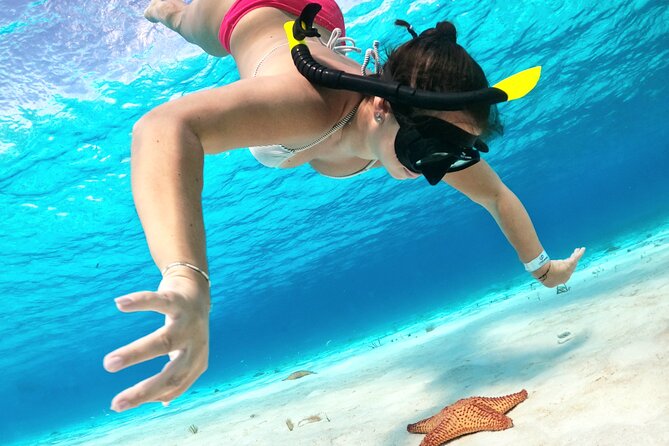 The Cozumel Turtle Sanctuary Snorkel Tour - El Cielo Starfish Sanctuary: Red and Orange on White Sand